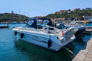 barca a motore sea ray 300 weekender 