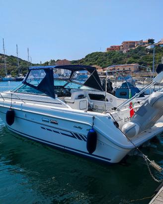 barca a motore sea ray 300 weekender 