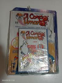 Dvd corpo umano