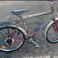 Bicicletta Maverick