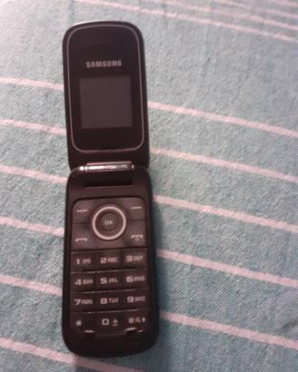 SAMSUNG A CONCHIGLIA