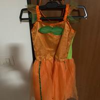 Vestito di carnevale da Zucca 