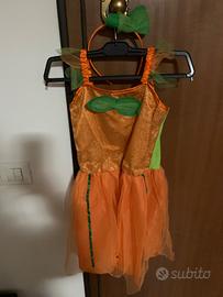 Vestito di carnevale da Zucca 