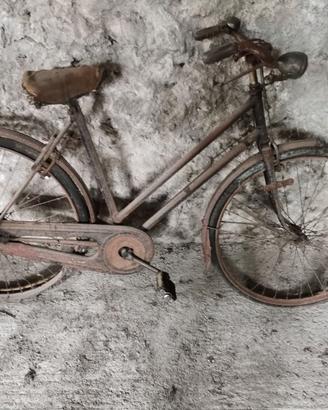 Bici da donna Argentea