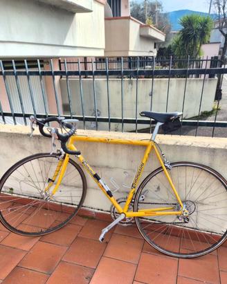 Bicicletta da corsa vintage