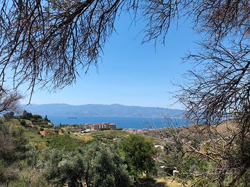 Terreno panoramico