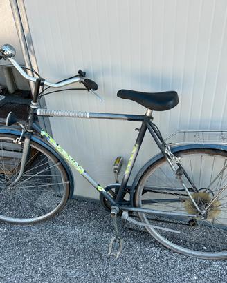 Bici uomo scoiattolo
