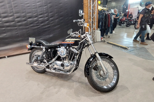 Ironhead