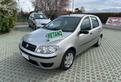 Fiat Punto 1.2 5p Active Natural Power