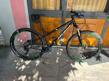Mtb genesis tarn 20 M