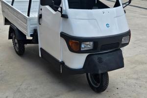 Altro Altro modello - 2010