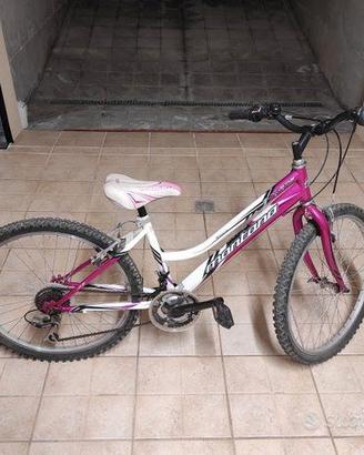 Bicicletta
