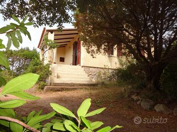 Al mare di rena maiore