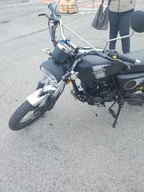 Mash Fifty 50 - 2021