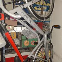 bici passeggio da donna