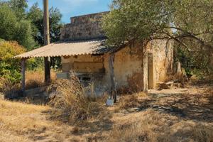 Terreno agricolo Terrasini