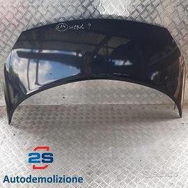 COFANO ANTERIORE RENAULT SCENIC (03-06) (06-09)