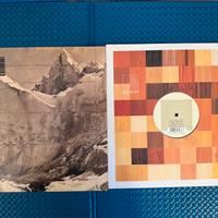 Terzo Lotto di 10 Vinili minimal tech house