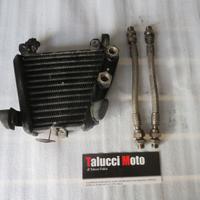 Ducati 749 999 radiatore olio + tubi e raccordi