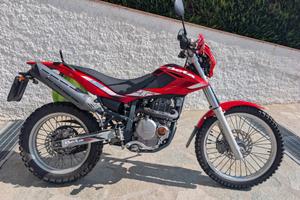 Beta Alp 4.0 350cc