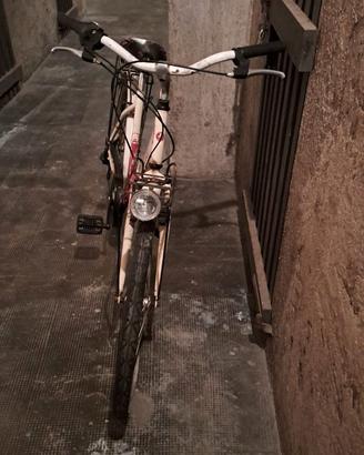 Bici Donna