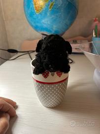 3 Barboncini toy femine silver e nero