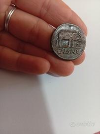 moneta caesar