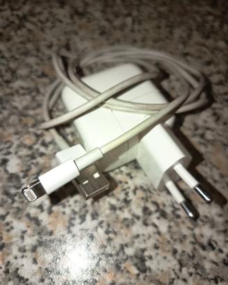 Caricatore Apple originale con cavo USB-C 