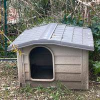 Cucca Cane Taglia Grande 