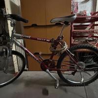 MTB  Dynamic Hilly 24
