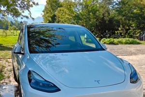Tesla Model Y RWD Gancio traino