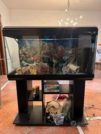 Acquario 200L