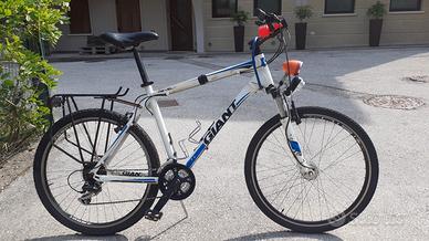 rampichino