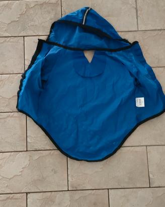 coorti pioggia cane taglia piccola  