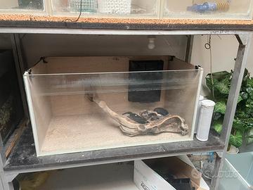 Vasche per allevamento