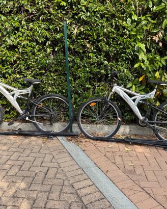 2x Mountain Bike + Portabici in omaggio
