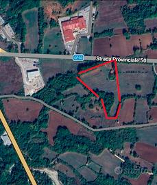 Terreno industriale con casolare