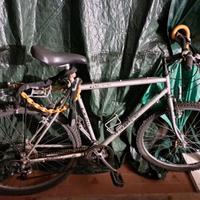 Bicicletta Mountain Bike