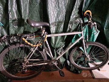 Bicicletta Mountain Bike