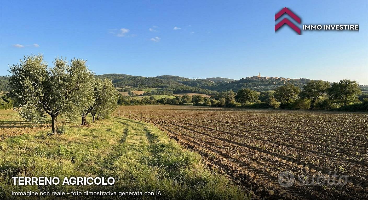 Terreno Agricolo - San Vincenzo - Vista 4
