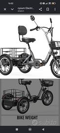 Triciclo elettrico