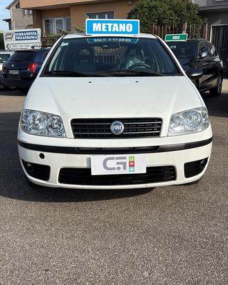 Fiat Punto 1.2 5 porte Active Natural Power(ex-com