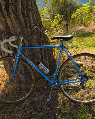 Bici da corsa