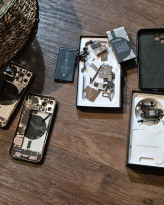 Componenti IPhone 12 Pro