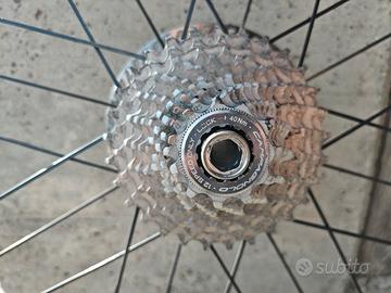 pacco pignoni campagnolo super record 12v 11 29 