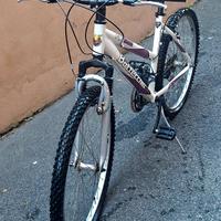 MTB Bottecchia MX 500
