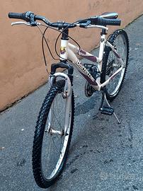 MTB Bottecchia MX 500