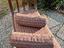 Immagine 5