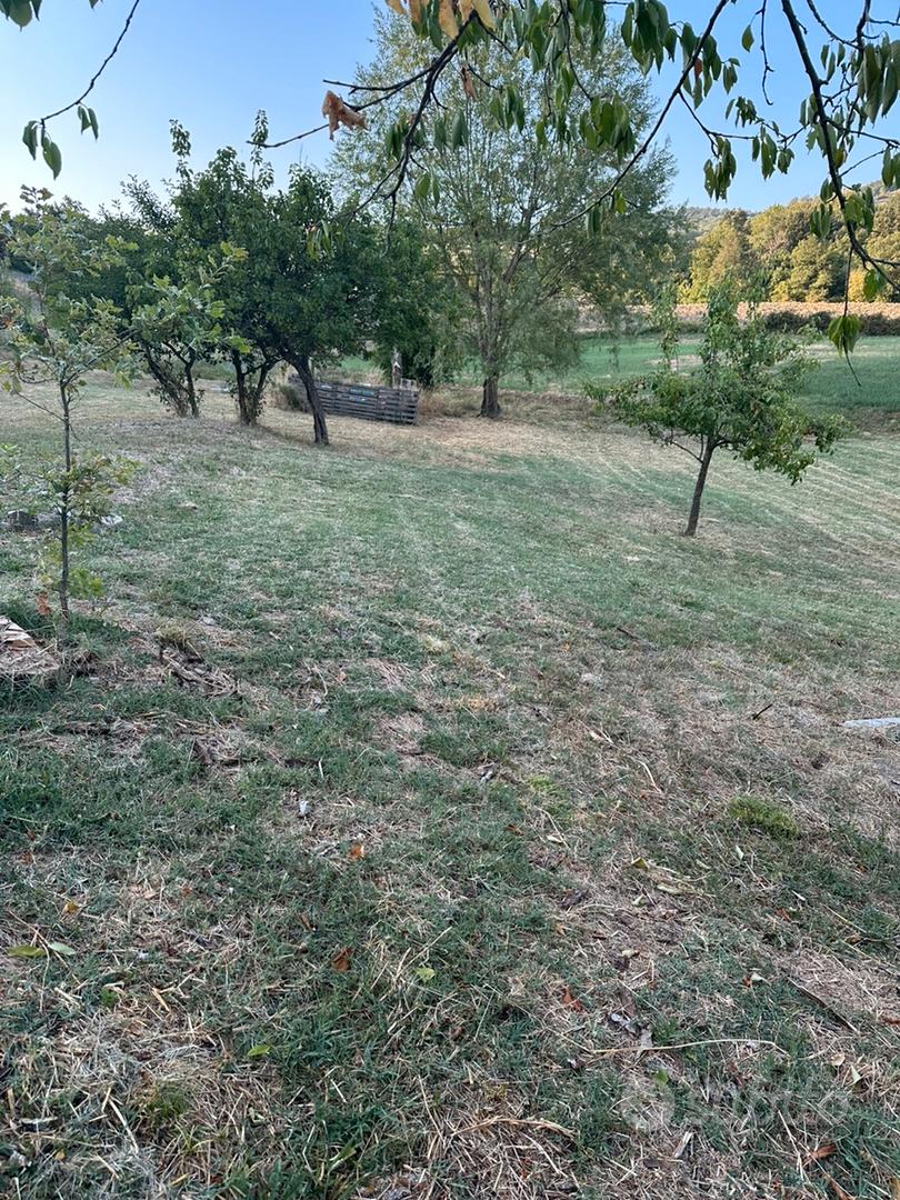 Tenuta in Alta Val Tidone - Vista 3