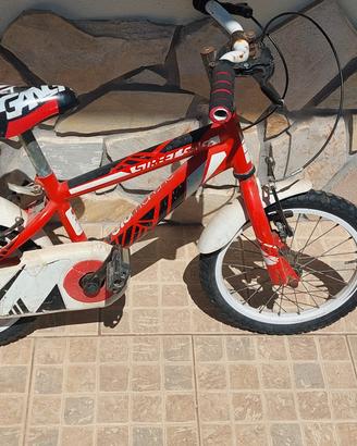 Bicicletta bambino